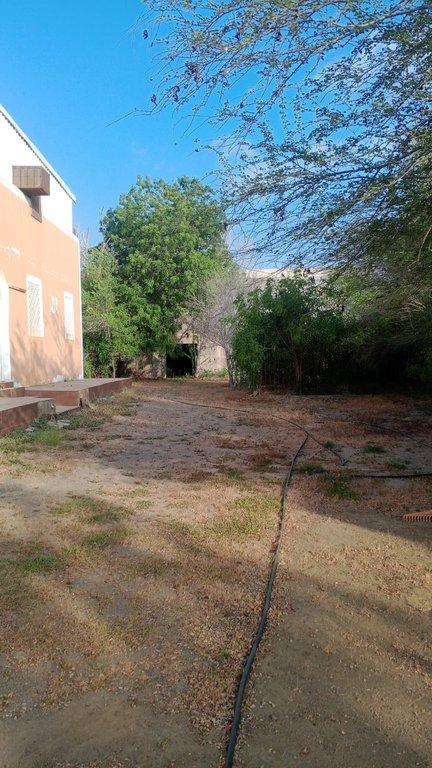 اعلان تسويقي